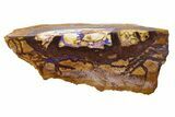 Stunning Yowah Nut Boulder Opal Pair - Australia #381719-2